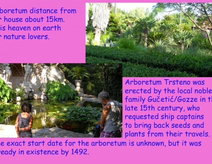 Arboretum Trsteno